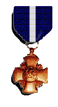 Award: Navy Cross